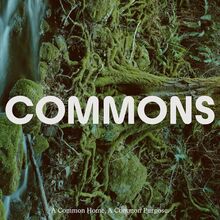 Commons, sustainable lifestyle platform