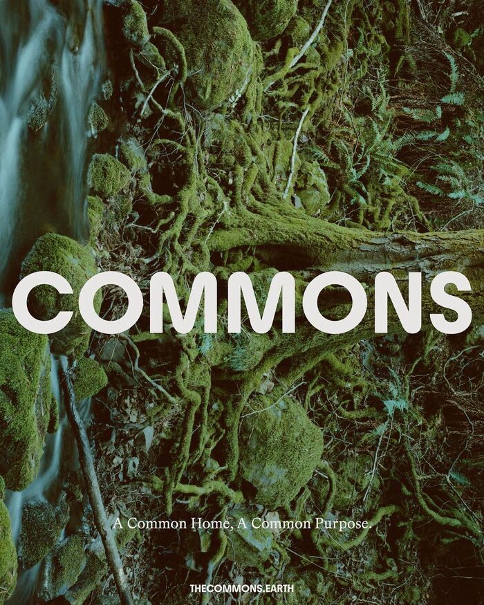Commons, sustainable lifestyle platform 1