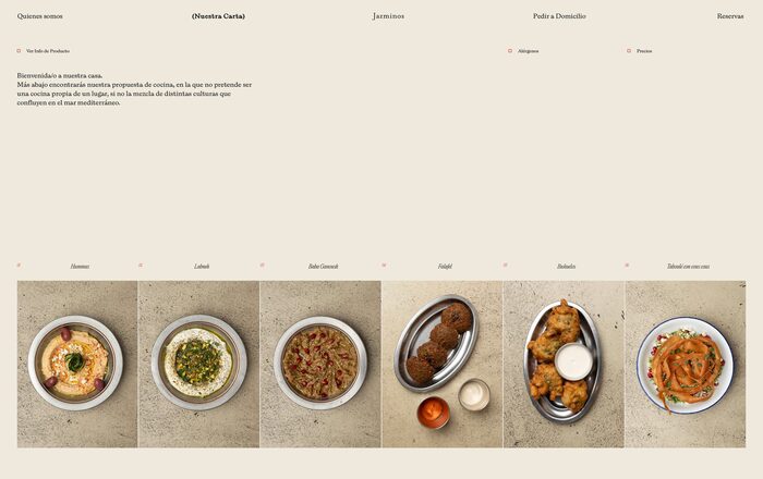Jazminos website 2