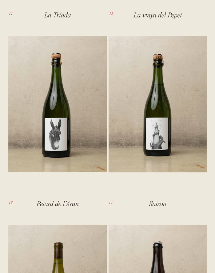 Jazminos website 6
