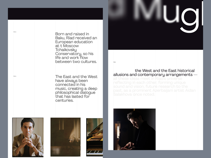 Riad Mammadov website 3