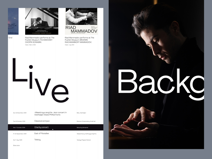 Riad Mammadov website 5