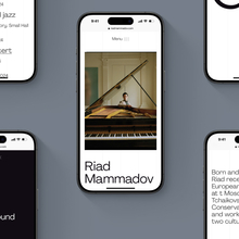 Riad Mammadov website