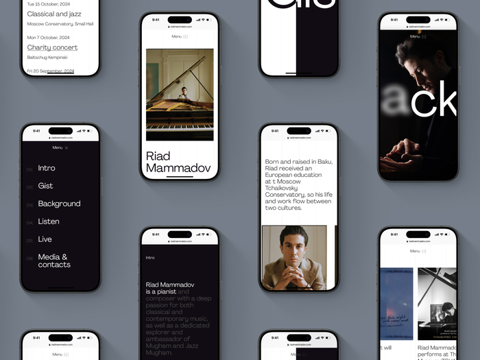 Riad Mammadov website 6