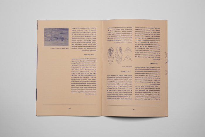 Foreshadowing exhibition poster and catalog 4