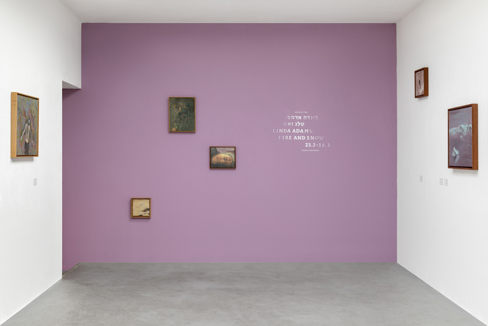 Linda Adams: Fire and Snow exhibition and catalogue 2