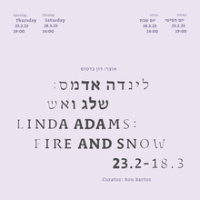 <cite>Linda Adams: Fire and Snow</cite> exhibition and catalogue