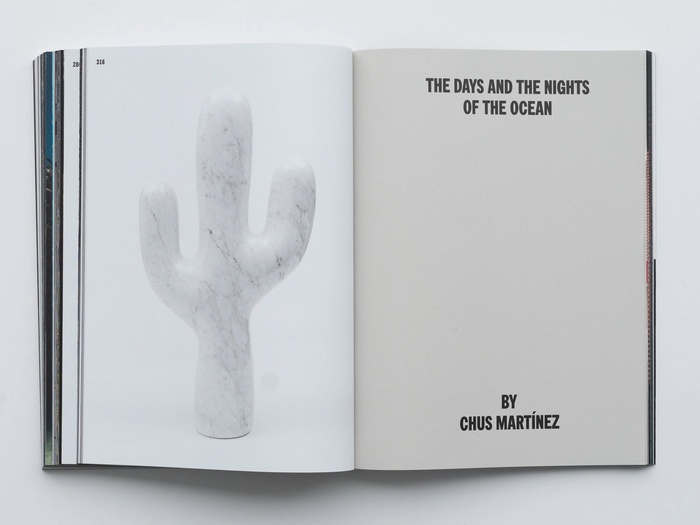 After Nature. Cacti, Corals and Leaves by Claudia Comte 8