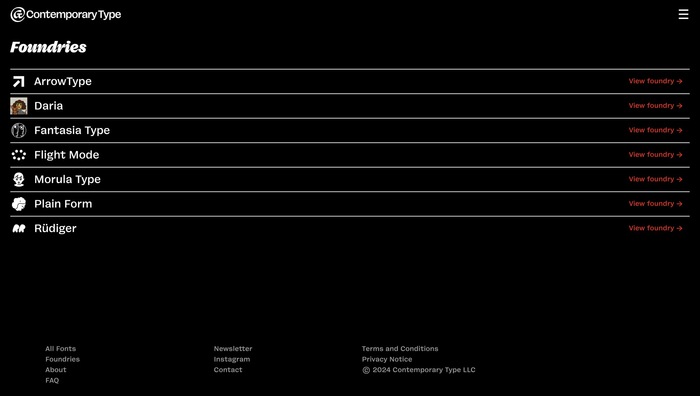 Contemporary Type website 6