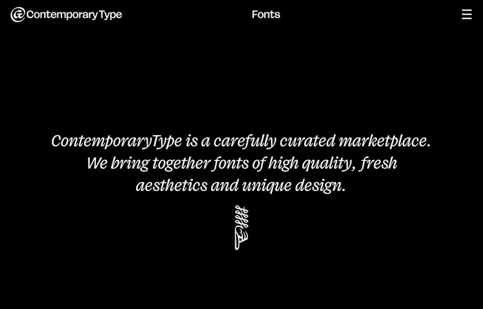 Contemporary Type website 5