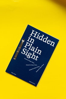 <cite>Hidden in Plain Sight </cite>by Elisa Lemma
