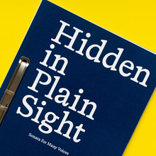 <cite>Hidden in Plain Sight </cite>by Elisa Lemma