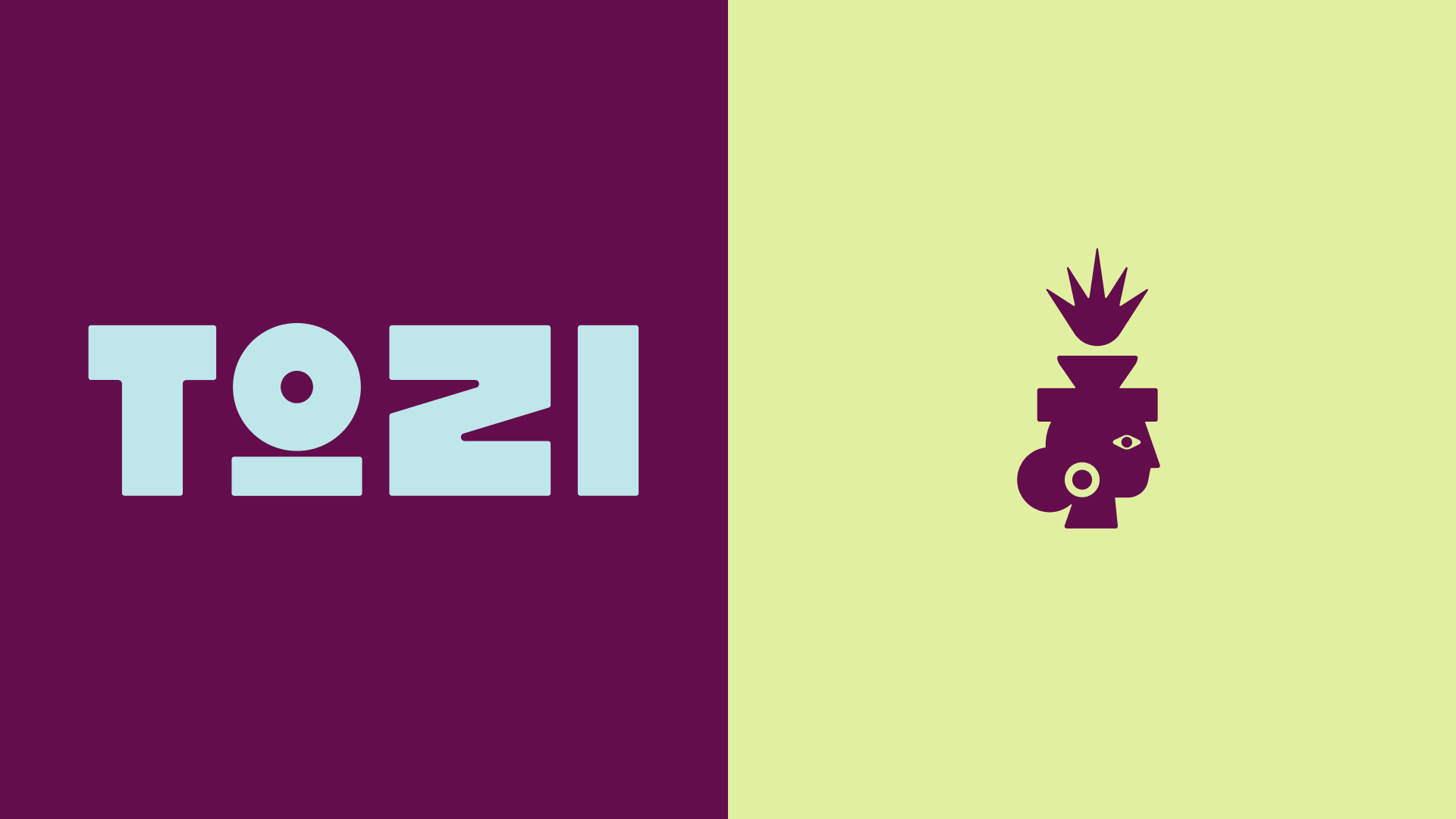 Tozi Superfoods 1