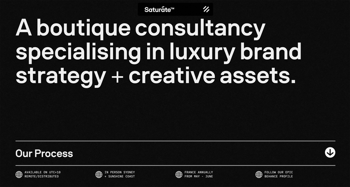 Saturate logo and website 2