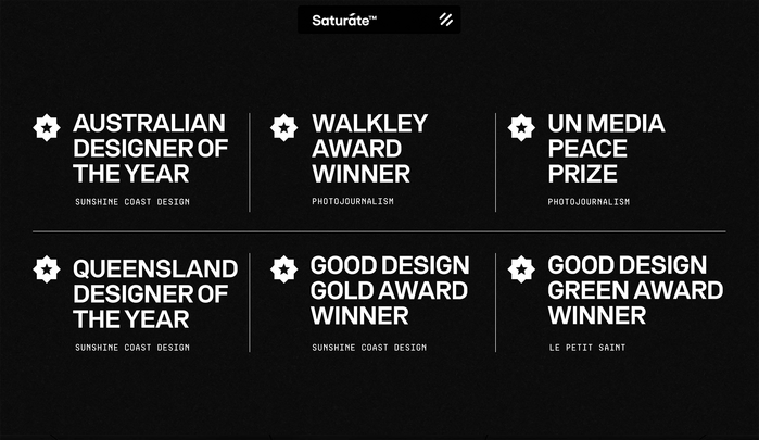 Saturate logo and website 4