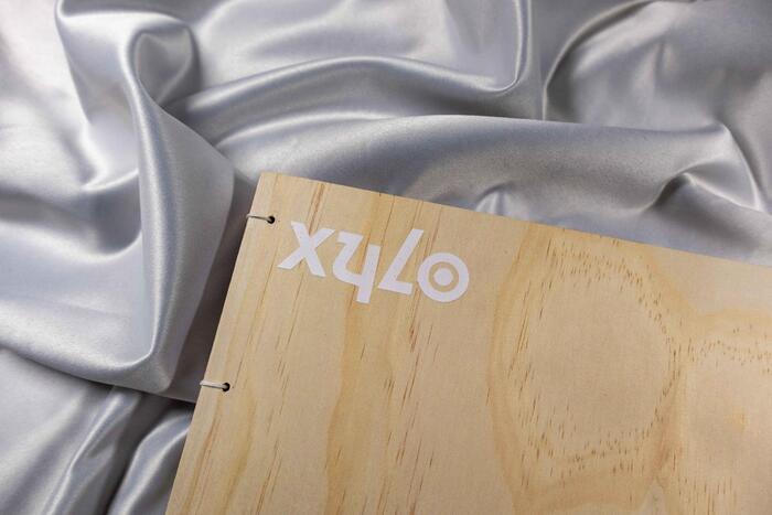 xylo 1
