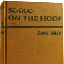 <cite>30,000 on the Hoof</cite> by Zane Grey