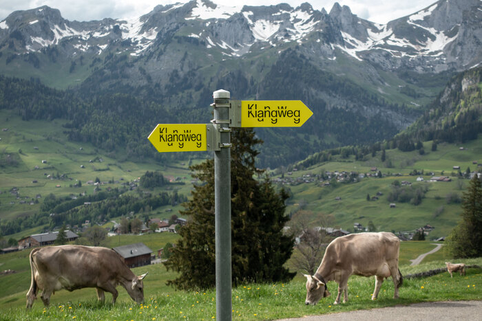 Environmental signage