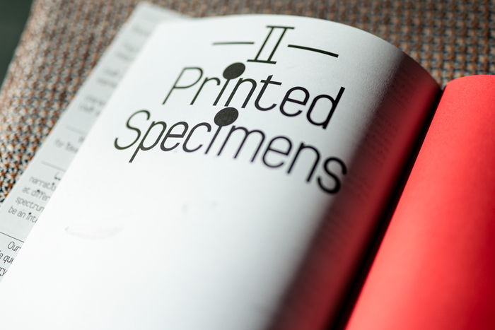 Support Independent Type II 4