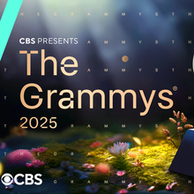 The 67th Annual Grammy Awards