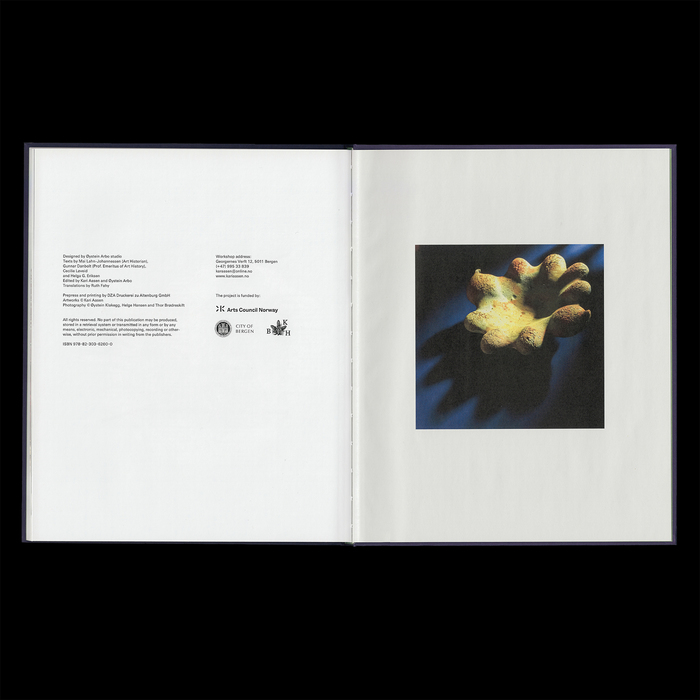 Kari Aasen monograph 7
