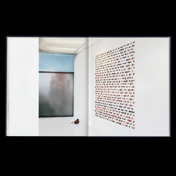 Kari Aasen monograph 4