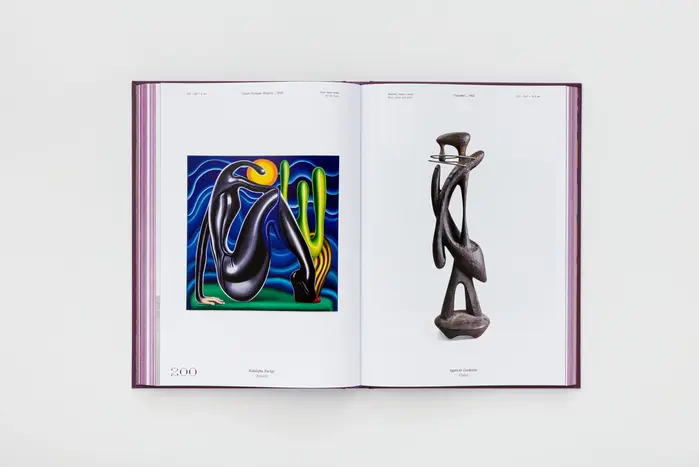 Sonhos ao Sol: Miragens da Arte na América Latina 8