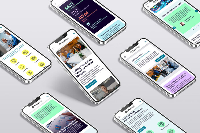 SalesPage website 2