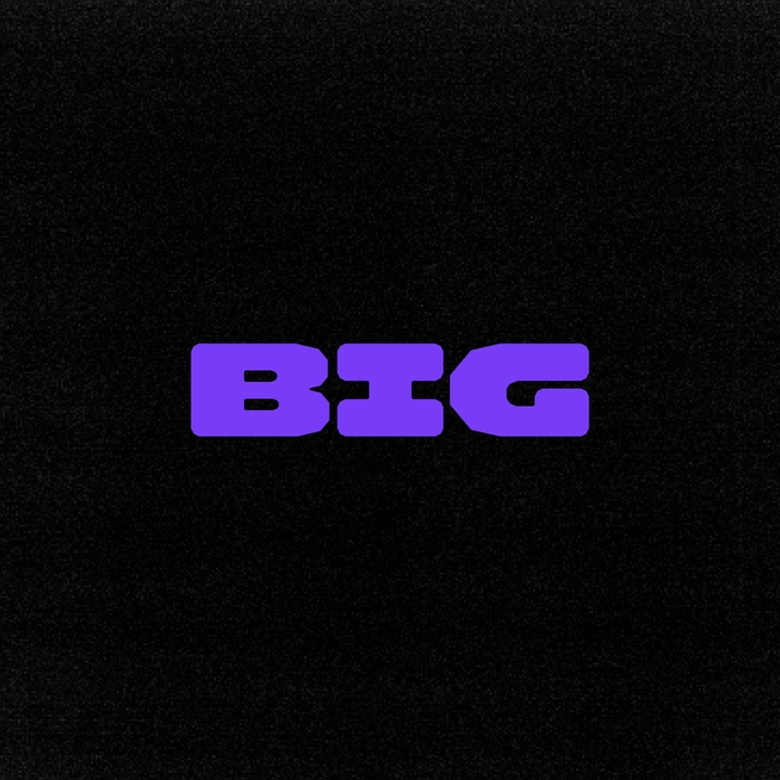 BIG IDEA GROUP identity 5