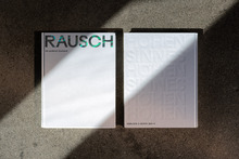 <cite>RAUSCH als anderer Zustand</cite>