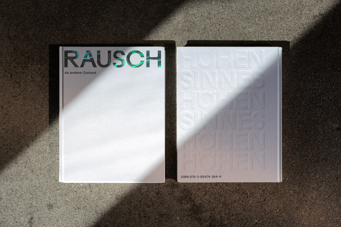 RAUSCH als anderer Zustand 1