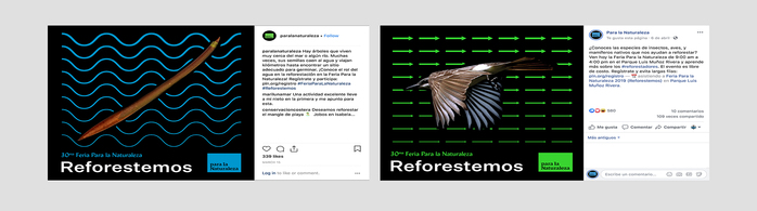 Feria Para la Naturaleza 2019 6