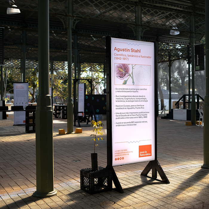 Feria Para la Naturaleza 2019 8