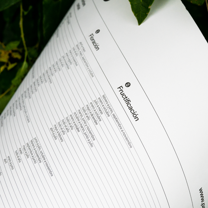 Calendario Ecológico 2