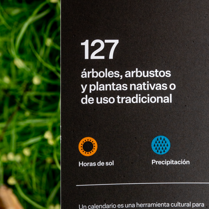 Calendario Ecológico 3