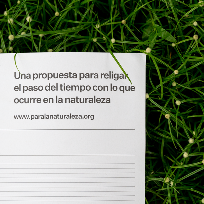 Calendario Ecológico 5