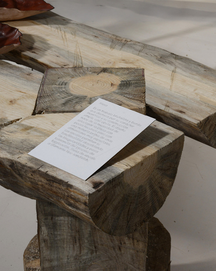 Andreu Carulla in Chistén exhibition 8