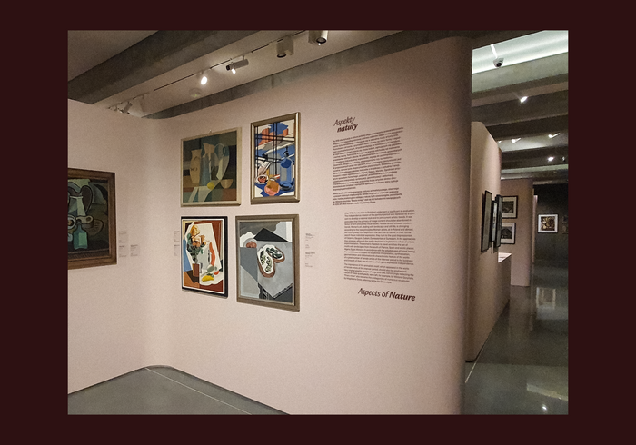 „Co babie do pędzla?!”. Artystki polskie 1850–1950 exhibition 4