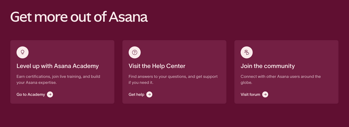 Asana website 2