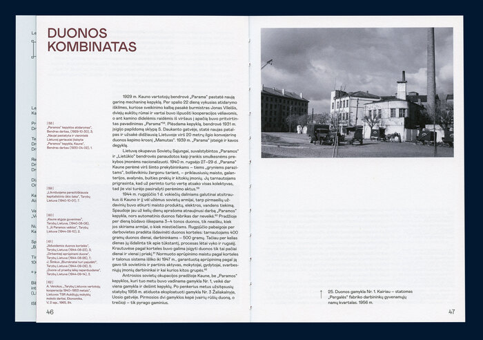 Kaunas Stanislovo Lukošiaus žvilgsniu: industrinis miestas 5