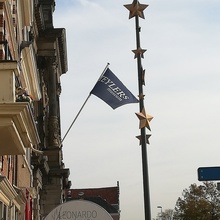 Teylers Museum visual identity