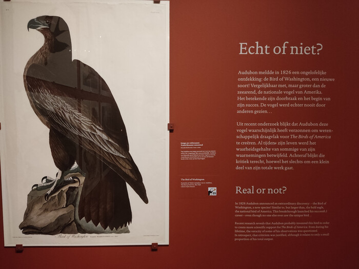 Teylers Museum visual identity 4