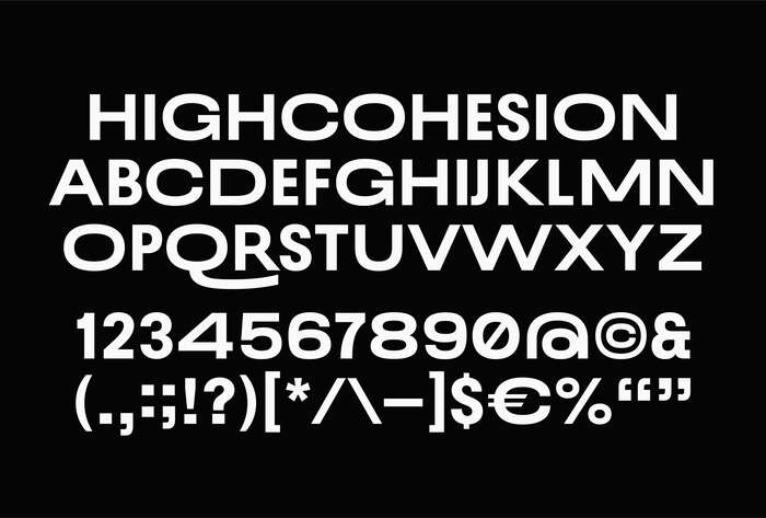 HighCohesion rebrand 7