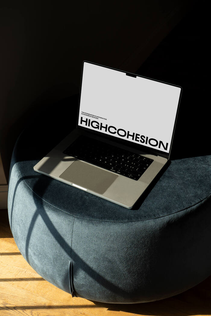 HighCohesion rebrand 9