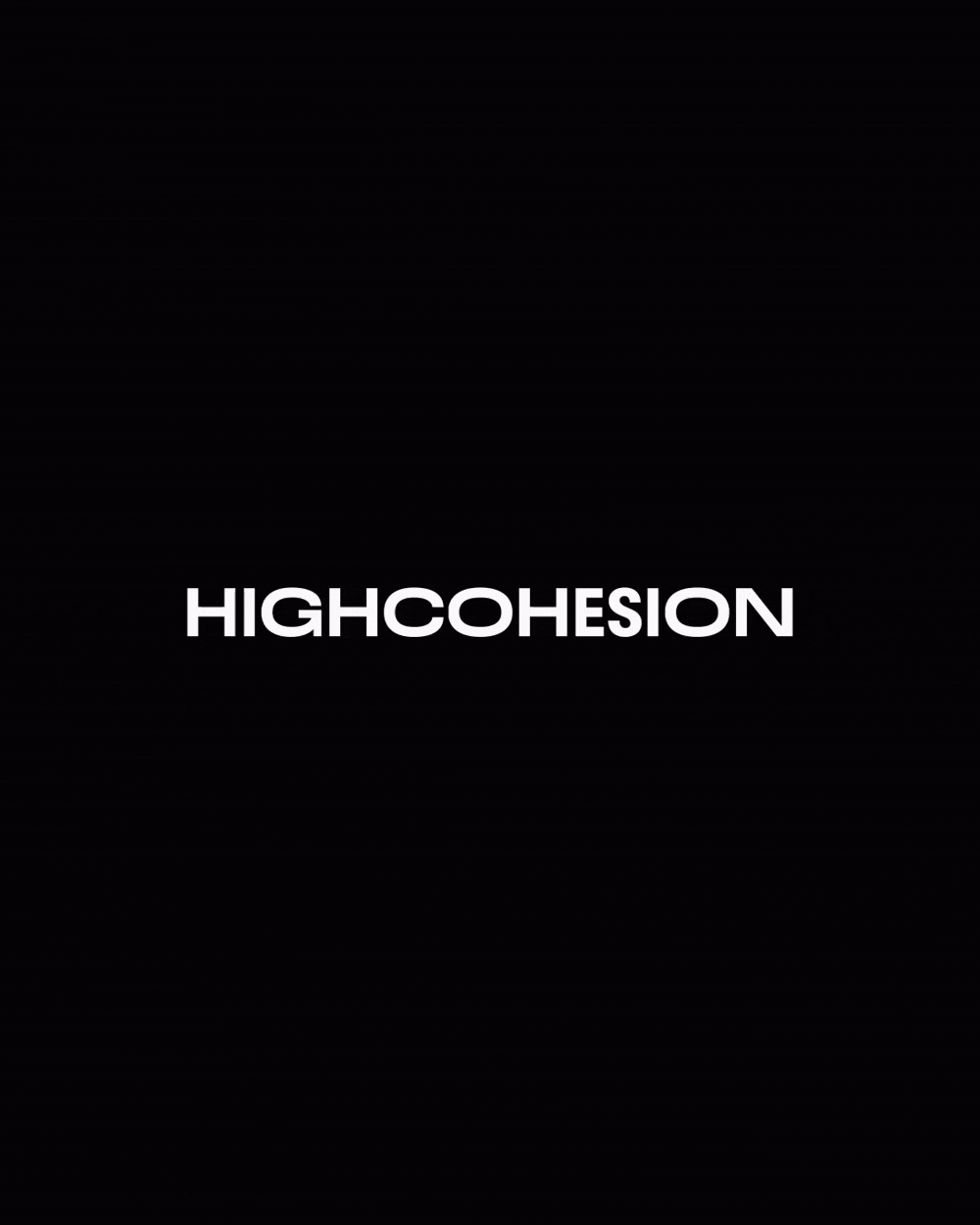HighCohesion rebrand 11