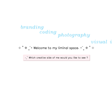 Antoinette Chow website