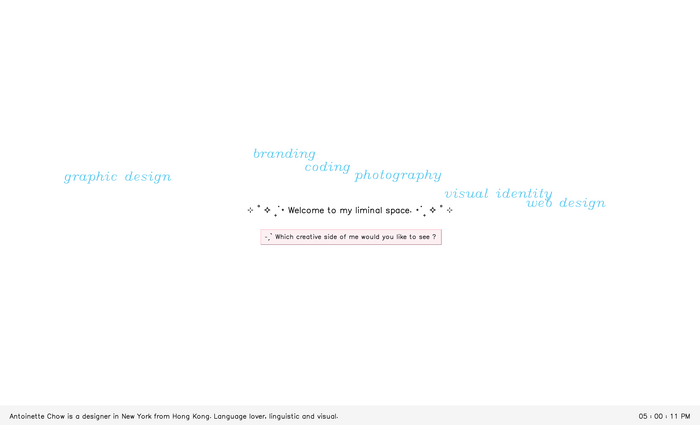 Antoinette Chow website 1