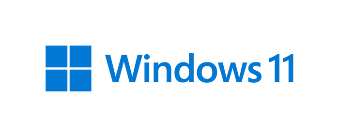 Windows 11 logo 2