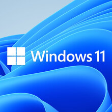 Windows 11 logo