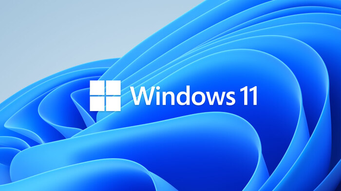 Windows 11 logo 1